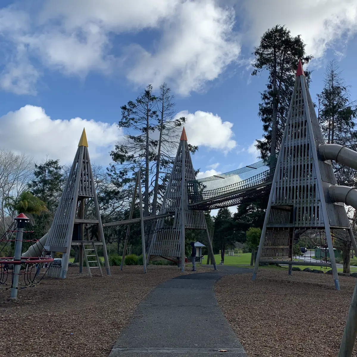 Photo of Tui Glen Reserve Tree Top by KiyoungP