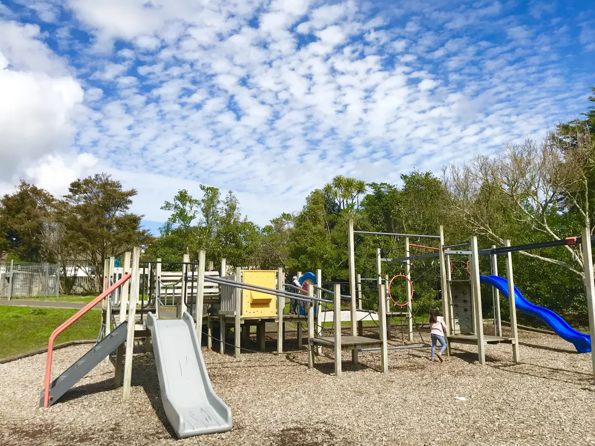 Meadowood Reserve playground photo