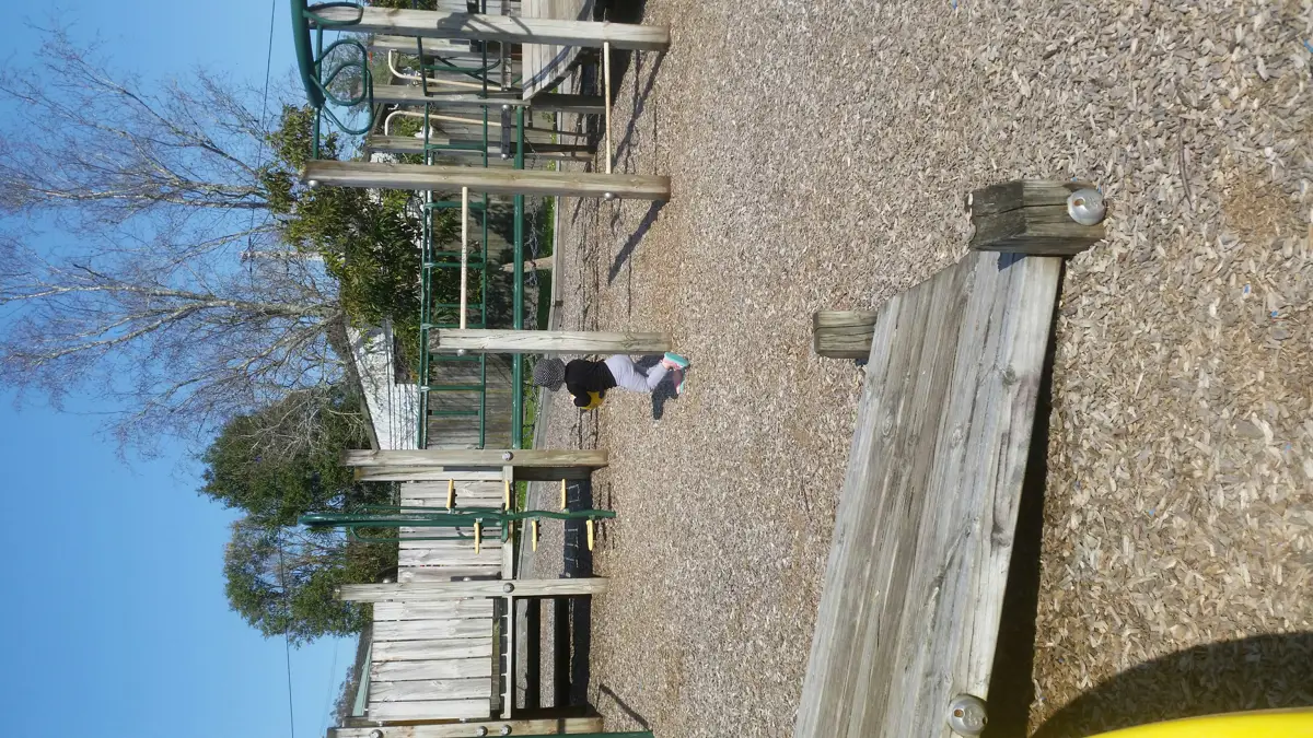 Elliot Reserve playground photo