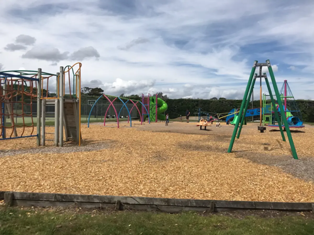 Chester Street Playground playground photo