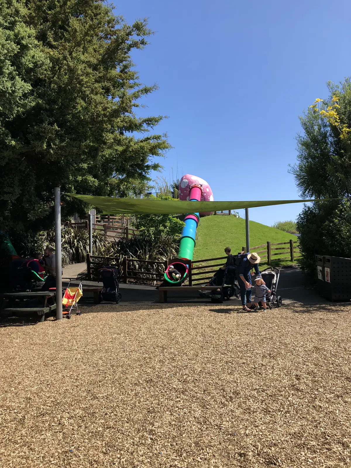 Auckland Zoo Playground playground photo