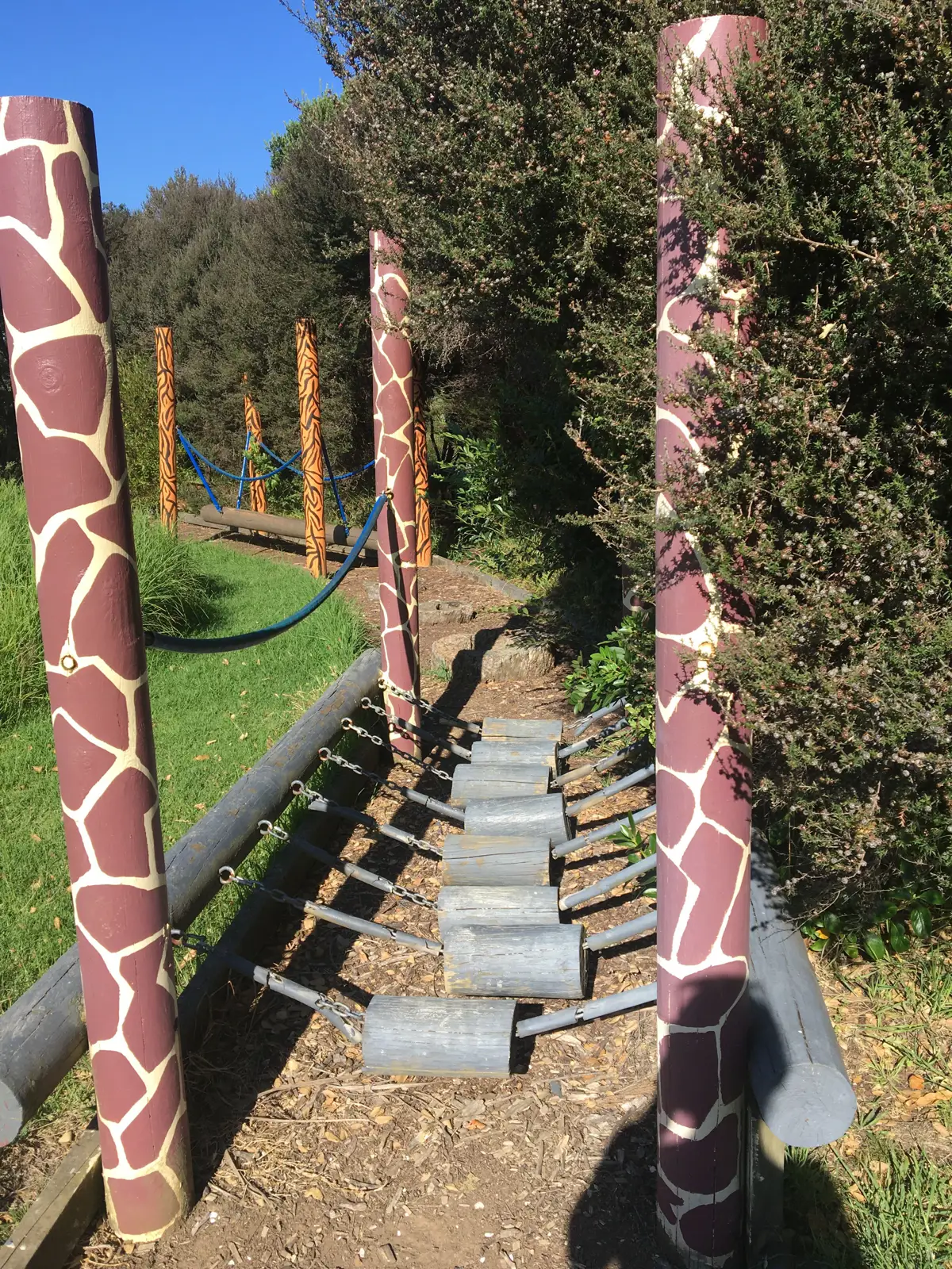 Riverhills School playground photo
