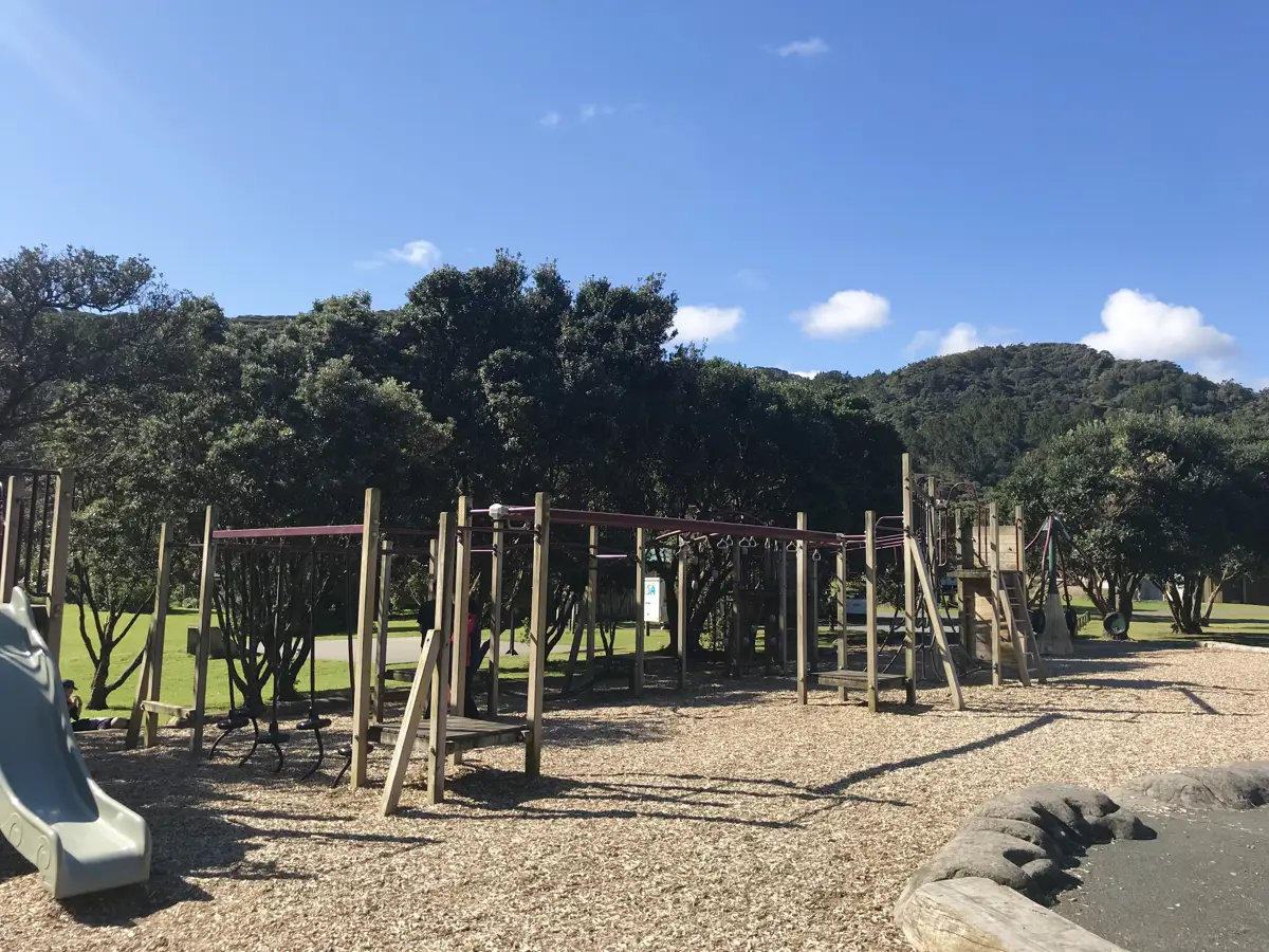 Piha Domain playground photo