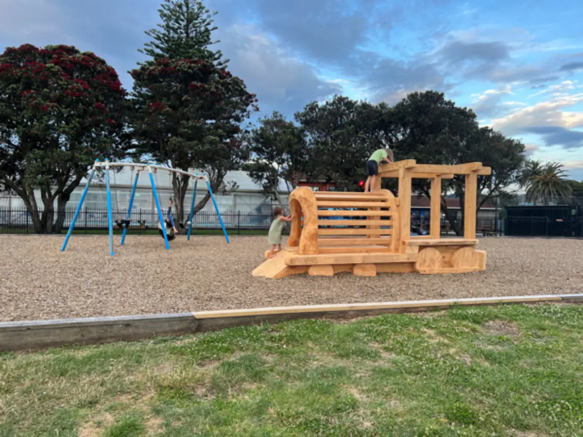 Waikanae Beach Playground playground photo