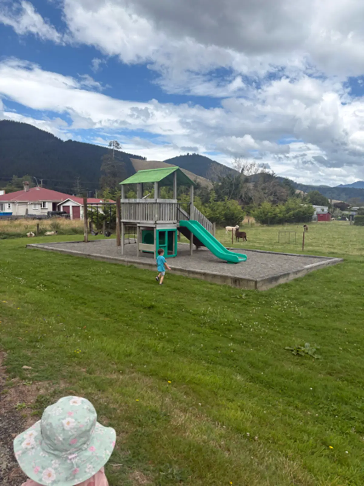 Rai Stream Reserve playground photo
