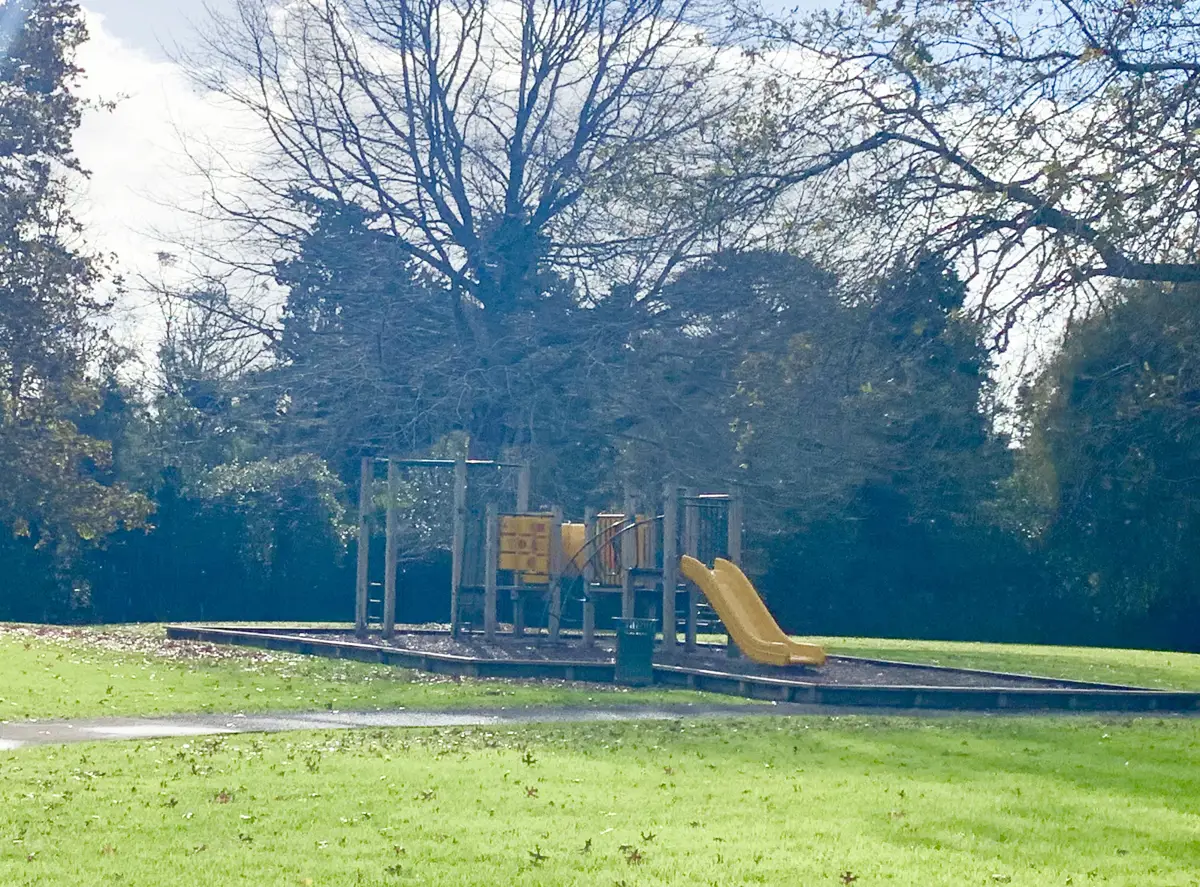 Opanuku Reserve playground photo
