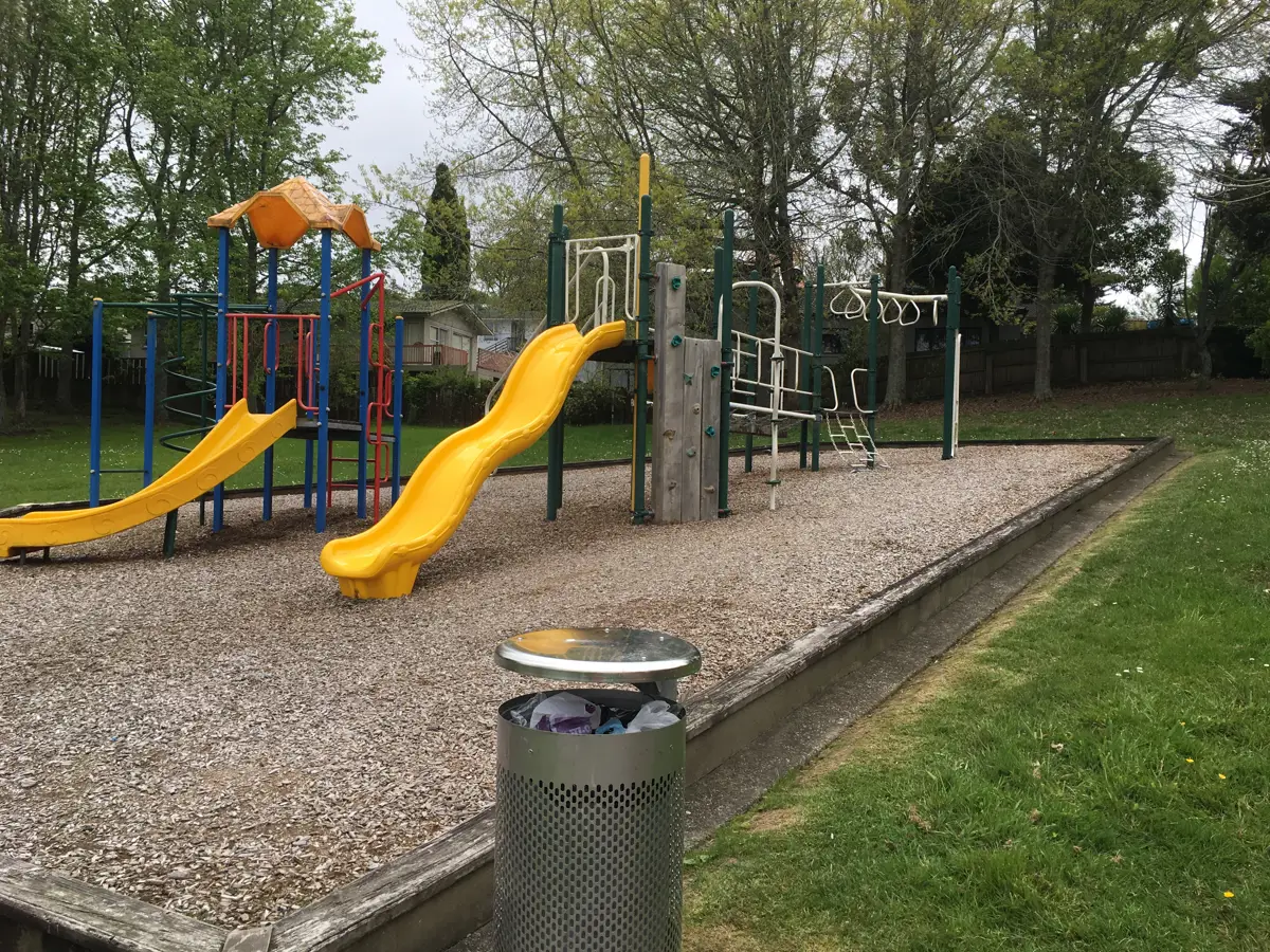 Totaravale Drive Playground playground photo