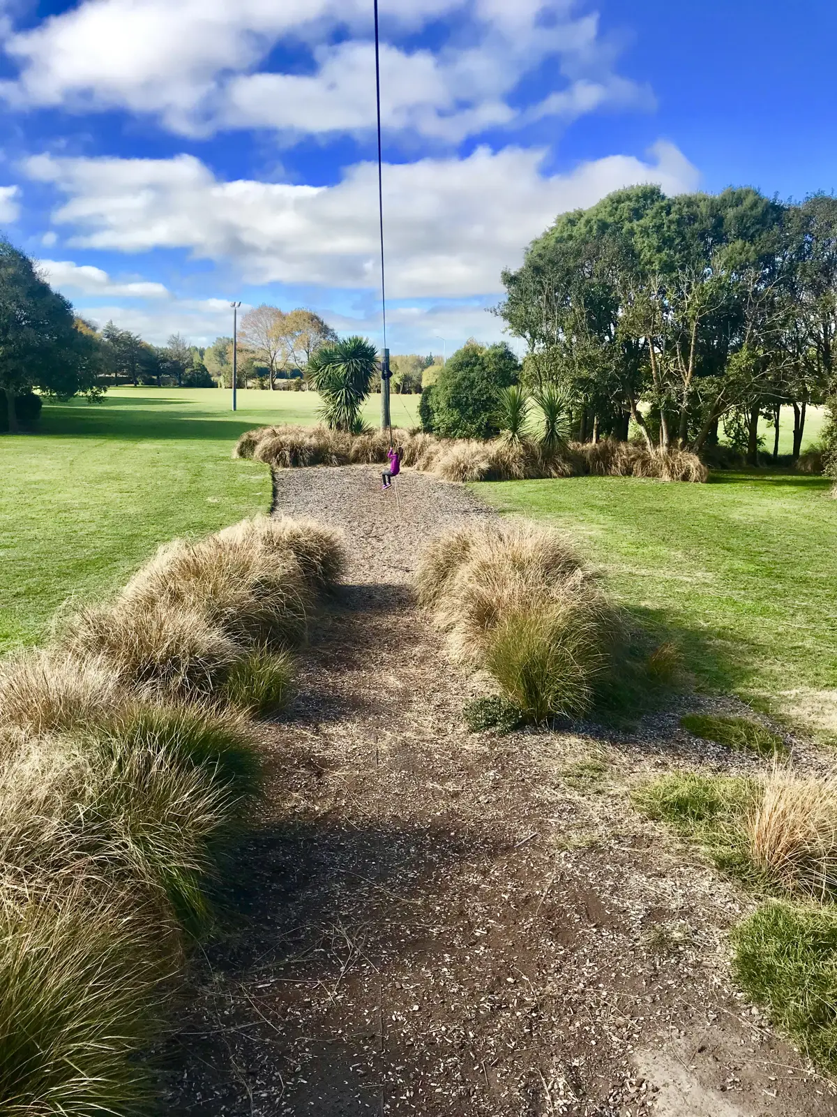 Photo of Owen Mitchell Park by PlayGoKids