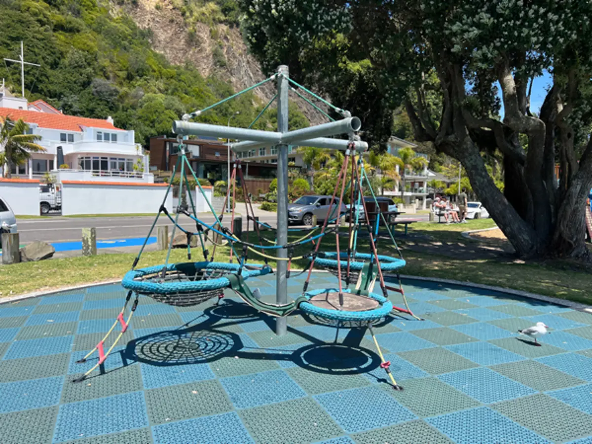 Photo of Wairaka Centennial Park Playground by thecyberpr